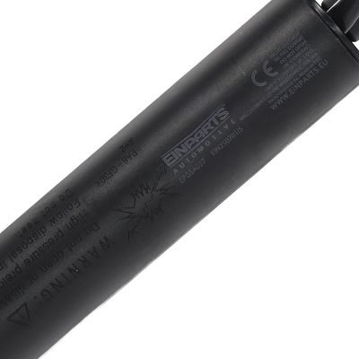 Elektromotor, vrata prtljažnika Einparts Automotive EPGSA037