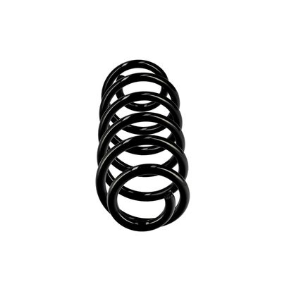 ARC SPIRAL EIBACH R10711 1