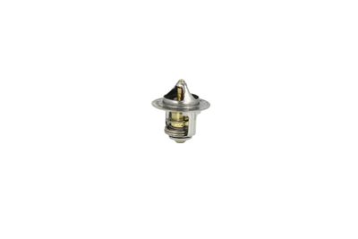 TERMOSTAT LICHID RACIRE NRF 725173 32