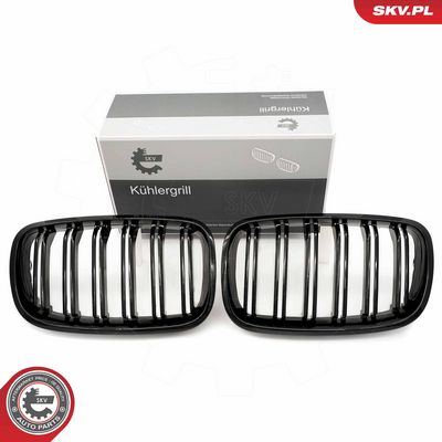 GRILA RADIATOR ESEN SKV 66SKV287 9