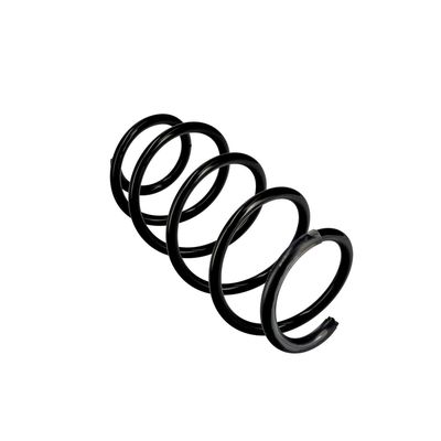 ARC SPIRAL EIBACH R10097 23