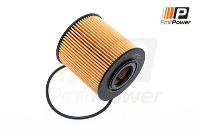 alyvos filtras 1F0070 ProfiPower