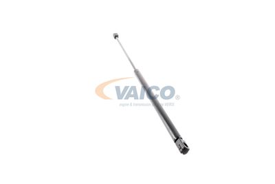 GASFEDER KOFFER-/LADERAUM VAICO V240211 47