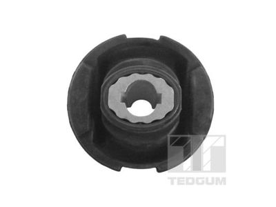 SUPORT AX TEDGUM 00056666 1