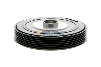 FULIE CUREA ARBORE COTIT VAICO V460814 11