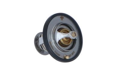 TERMOSTAT LICHID RACIRE NRF 725087 42