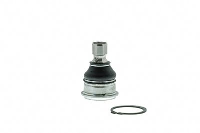 AISIN Šarnyras / girgždukas