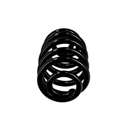 ARC SPIRAL EIBACH R10010 1