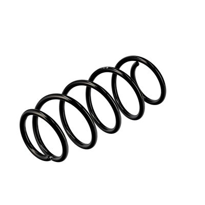 ARC SPIRAL EIBACH R10344 16