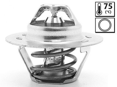 THERMOSTAT KüHLMITTEL