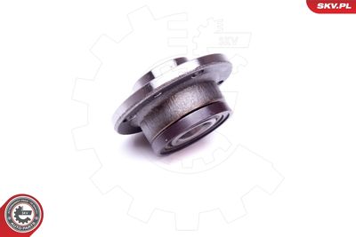 Wheel Bearing Kit 29SKV419