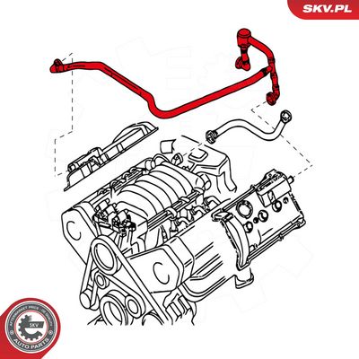 Žarna, karterio alsuoklis