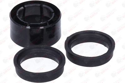 BUCSA ARBORE DE DIRECTIE BIRTH 4142 12