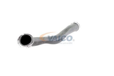 LADELUFTSCHLAUCH VAICO V103817 52