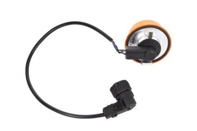Controlelampje, zijkant Links/Rechts (kleur van het glas: oranje, P21/5W)