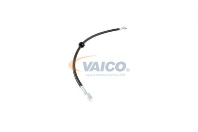 FURTUN FRANA VAICO V201909 50