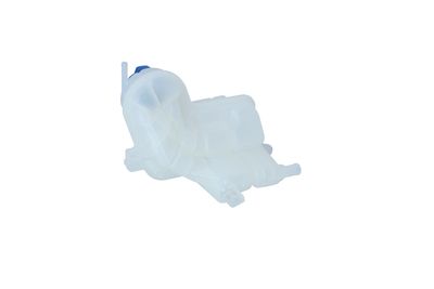 VAS DE EXPANSIUNE RACIRE NRF 454007 21