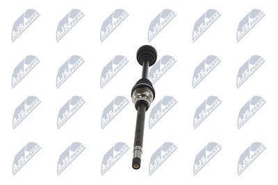 PLANETARA NTY NPWPE124 34