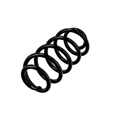 ARC SPIRAL EIBACH R10135 3