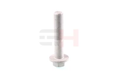 SURUB CAPAT DE AX GH GH393964 43