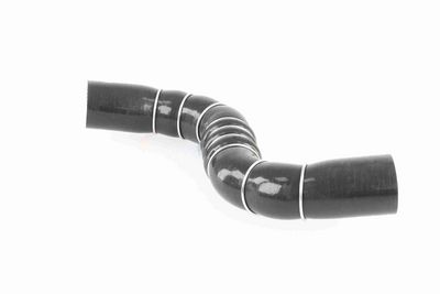 FURTUN EAR SUPRAALIMENTARE ACKOJA A389602 2