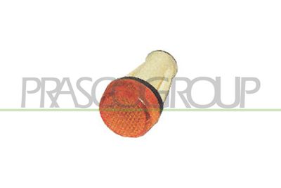 PRASCO FT1214139 Указатель поворотов  для FIAT PANDA (Фиат Панда)