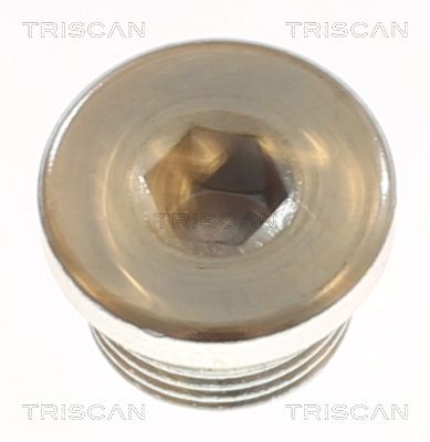 Korek spustowy oleju, miska olejowa TRISCAN 9500 1106