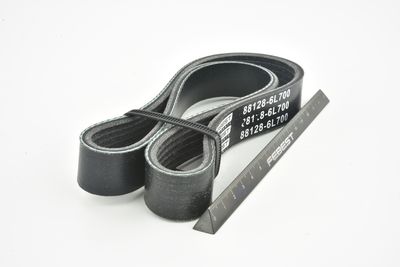 CUREA TRANSMISIE CU CANELURI FEBEST 881286L700 43