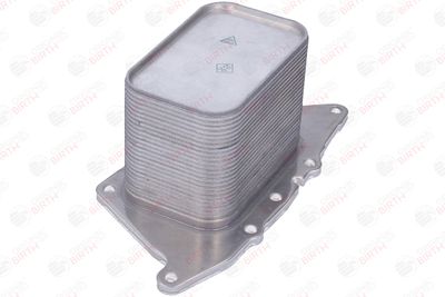 RADIATOR ULEI ULEI MOTOR BIRTH 80859 11