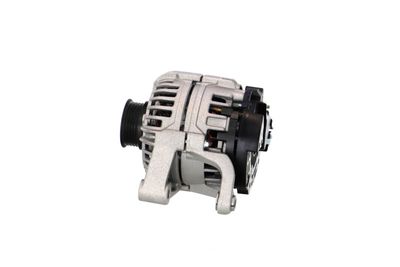 GENERATOR / ALTERNATOR REMANTE 011003000324R 19