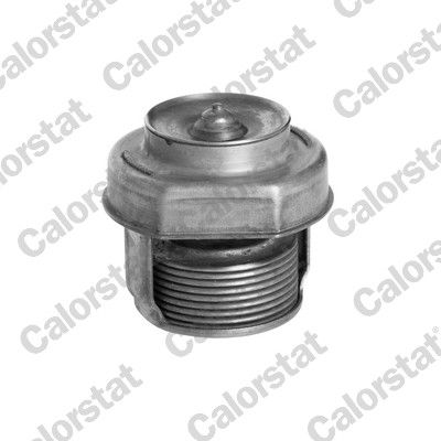 Termostat, środek chłodzący CALORSTAT BY VERNET TH2150.75J