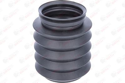 CAPAC PROTECTIE/BURDUF AMORTIZOR BIRTH 56171 9