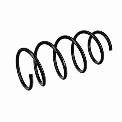 ARC SPIRAL EIBACH R11070 5