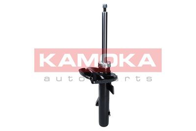 Shock Absorber 2000427