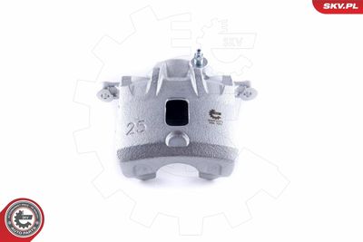 Brake Caliper 50SKV771