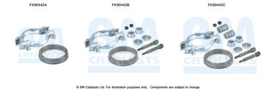 Монтажный комплект, катализатор BM CATALYSTS FK90442 для PEUGEOT 405