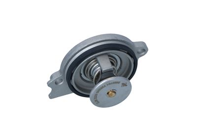 TERMOSTAT LICHID RACIRE NRF 725245 15