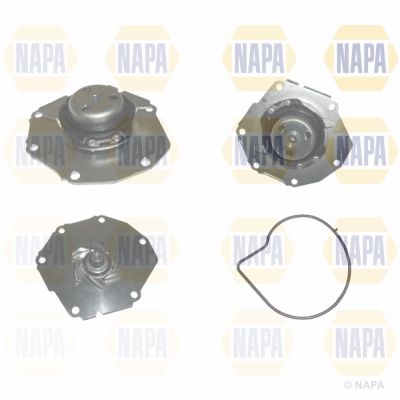 Water Pump, engine cooling NAPA NWP1539