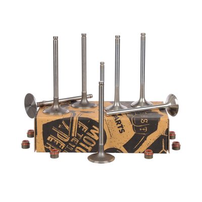 SET SUPAPE SUPAPă ADMISIE/EVACUARE ET ENGINETEAM VS0023VR1 18