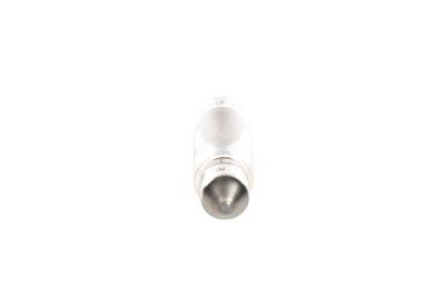 Gloeilamp (Karton 10pcs) C10W 24V 10W Trucklight