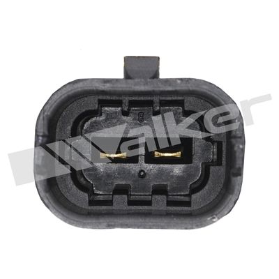 KLOPFSENSOR WALKER PRODUCTS 2421103 2