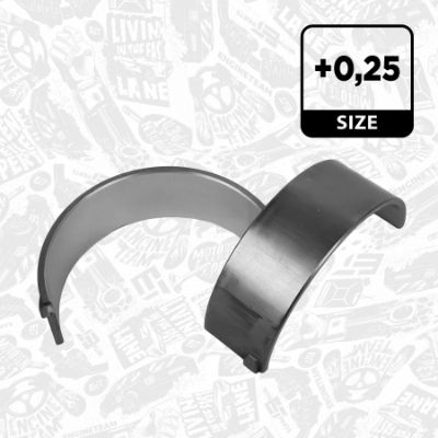 SET RULEMT ARBORE COTIT ET ENGINETEAM LH002225 5