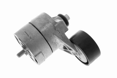 INTINZATOR CUREA CUREA DISTRIBUTIE