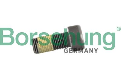 SURUB VOLANTA Borsehung B12950