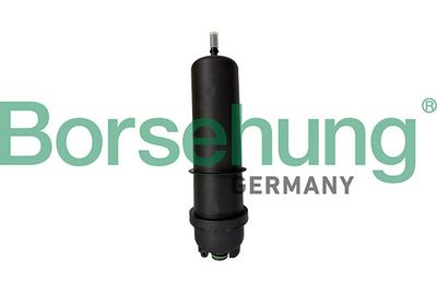 Borsehung Kuro filtras
