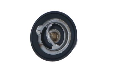 TERMOSTAT LICHID RACIRE NRF 725143 10