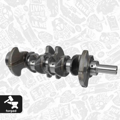 ARBORE COTIT ET ENGINETEAM HK0130 1