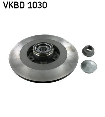 SKF VKBD 1030 Гальмівні диски 