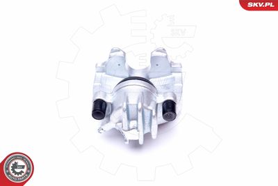 Brake Caliper 44SKV082