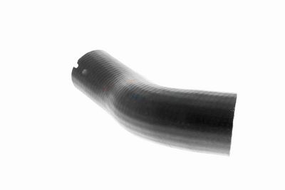 FURTUN EAR SUPRAALIMENTARE VAICO V240715 6